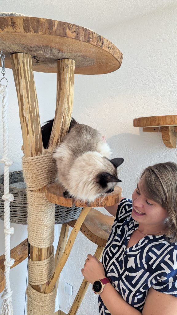 Katzensitter-Heilbronn-HausTierHelden