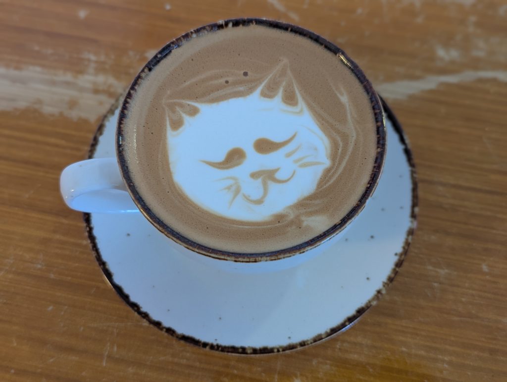 Katzensitter Heilbronn 