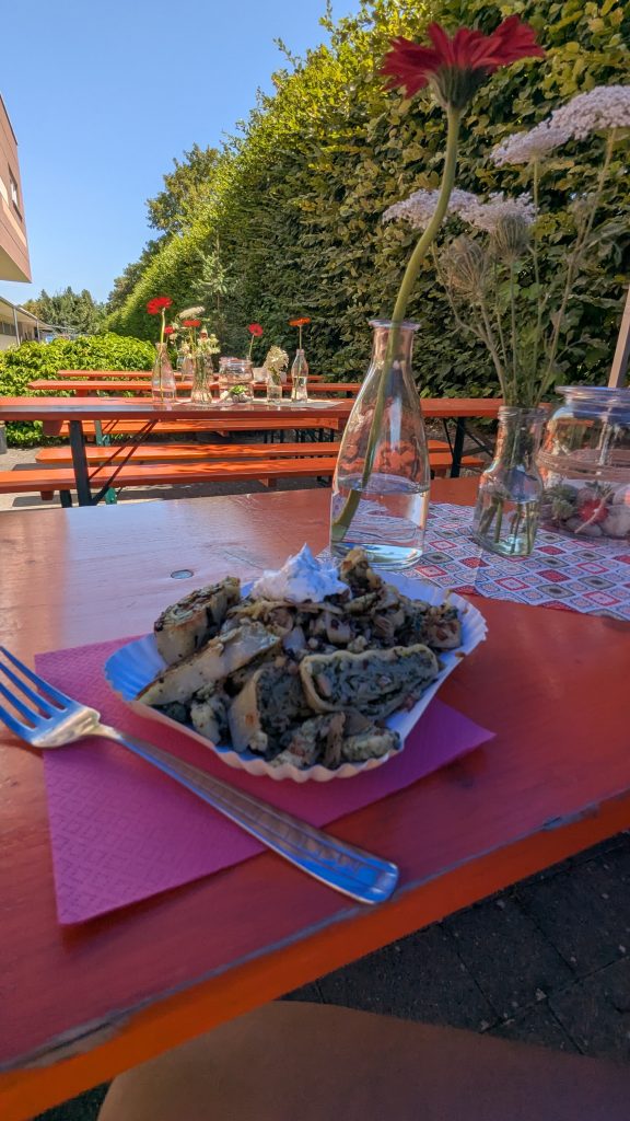 Veranstaltung im Tierheim besuchen und dadurch Spenden. 