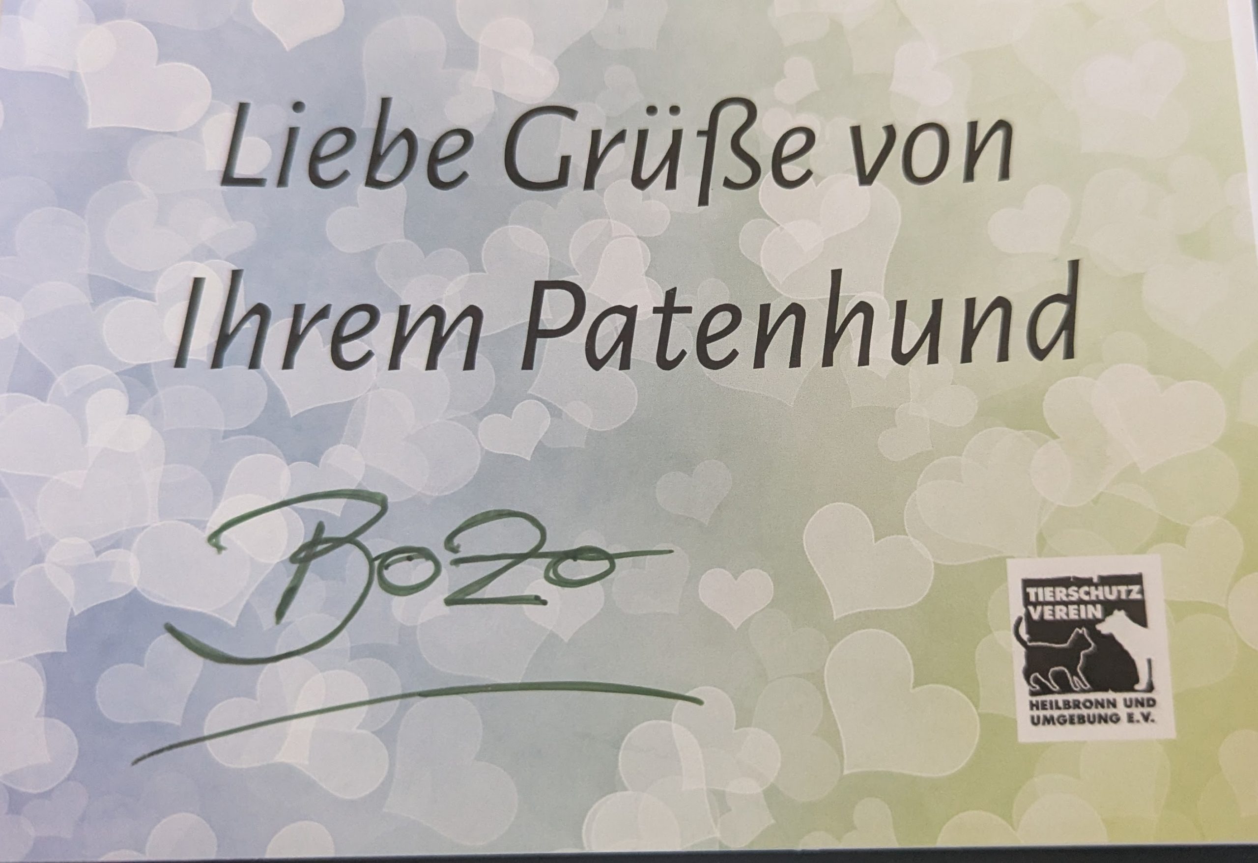 Bild von unserem Patenhund Bozo. 